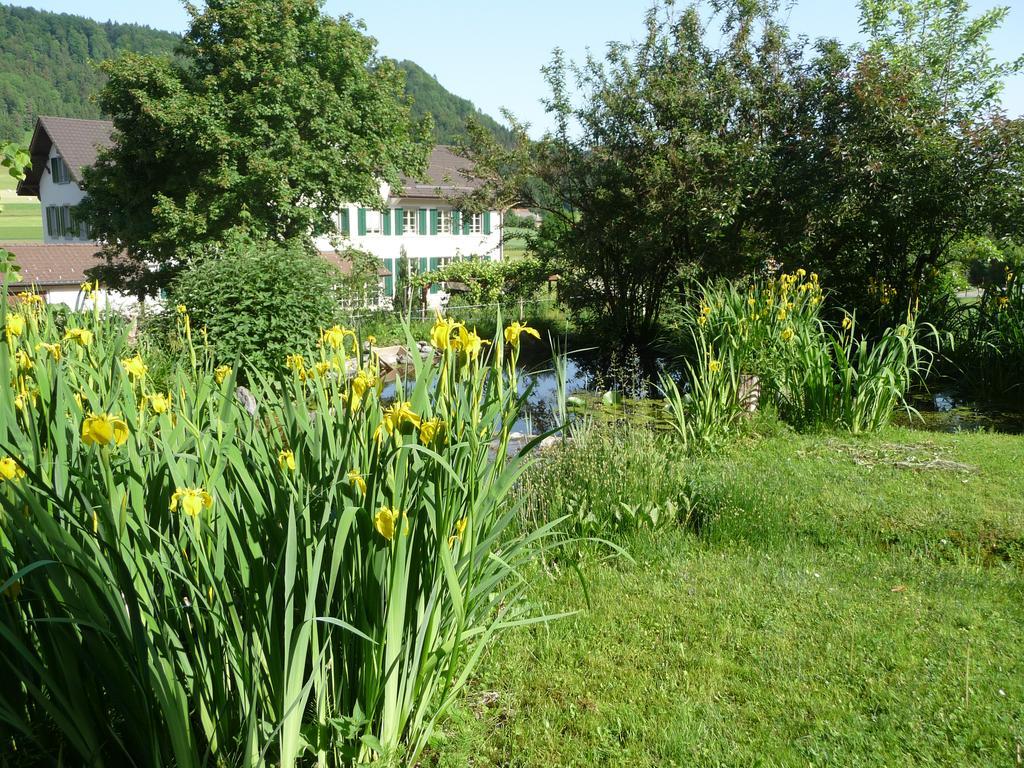 Gaestehaus Zum Tulpenbaum Turbenthal Exterior foto