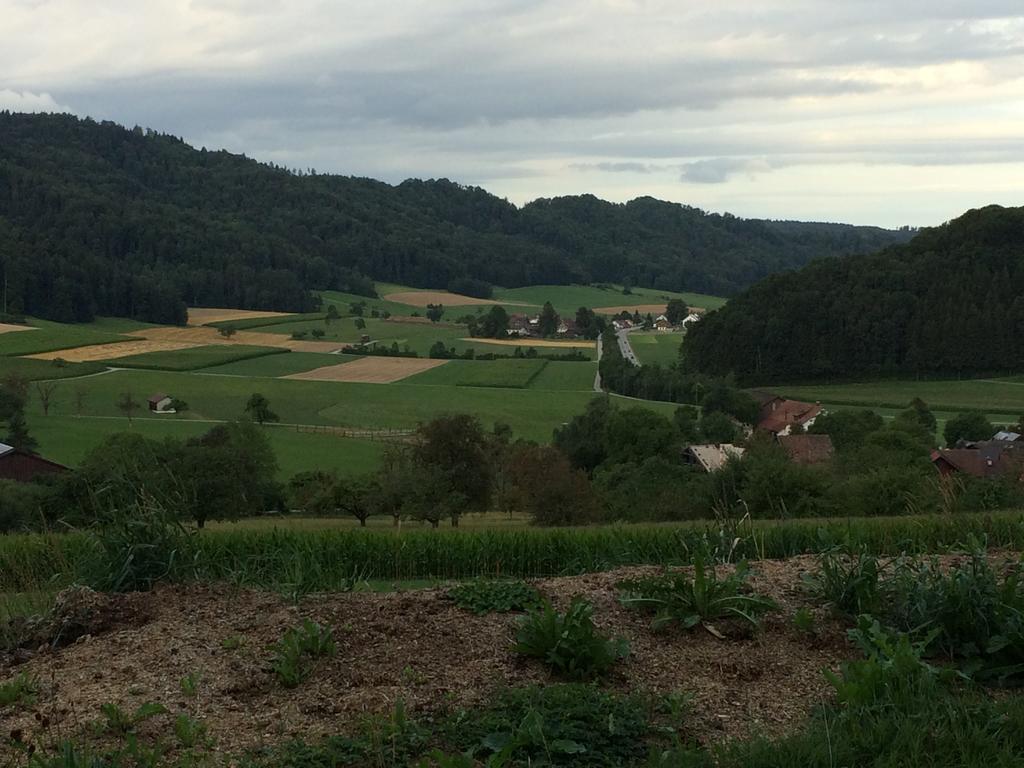 Gaestehaus Zum Tulpenbaum Turbenthal Exterior foto